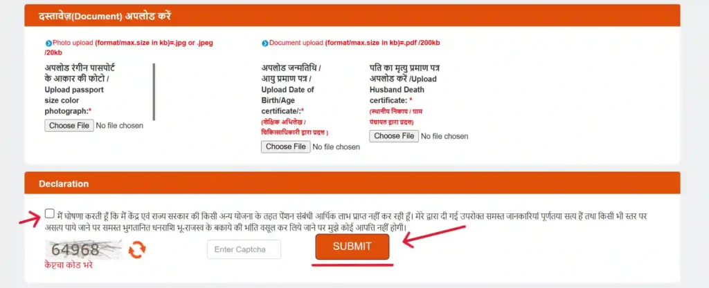 निराश्रित पेंशन के लिए ऑनलाइन आवेदन