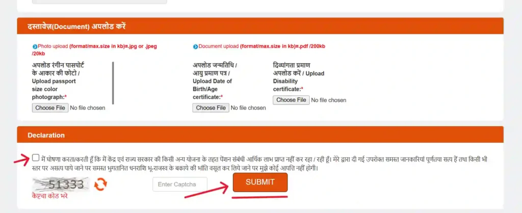 दिव्यांग (विकलांग) पेंशन के लिए ऑनलाइन आवेदन